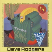 TIME TO COUNT DOWN / DAVE RODGERS